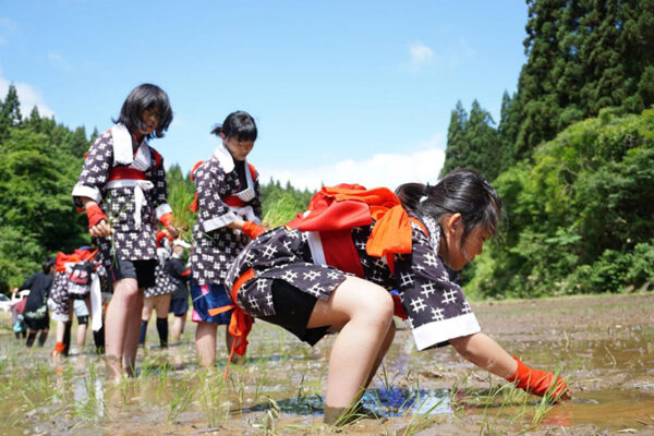 草木谷を守る会